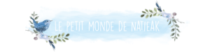 logo de lepetitmondedenatieak.fr